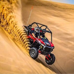 Tiger Quad Bike Safari